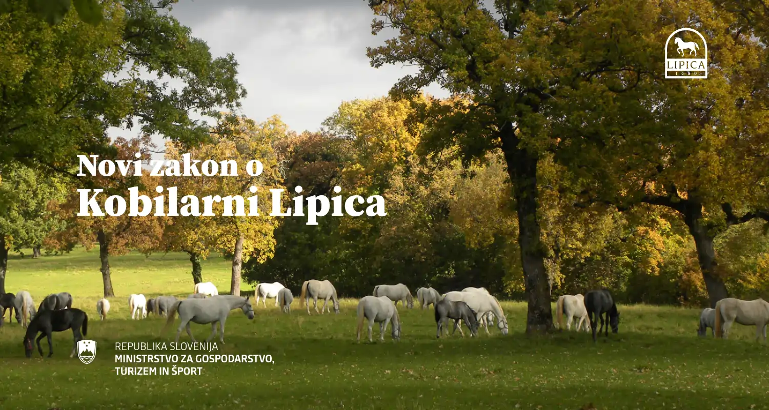 rezultati_lipica_prezentacija